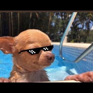 Meet your Posher, Sebastián